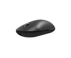 Souris sans fil Bluetooth