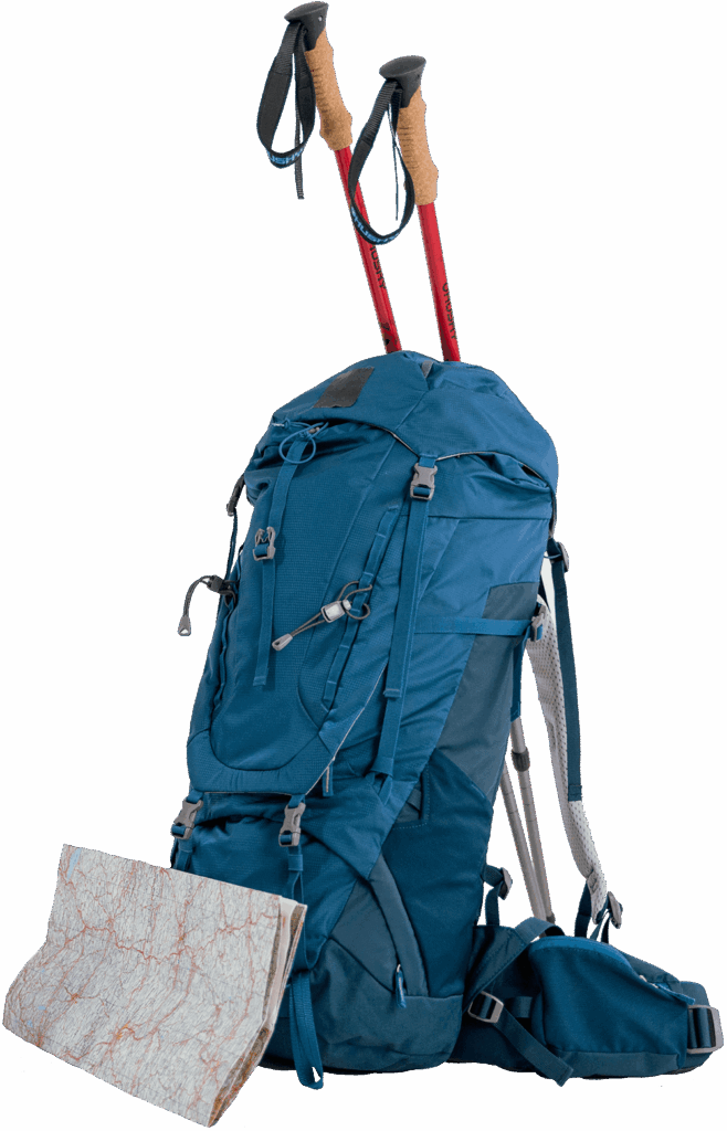 backpack 223